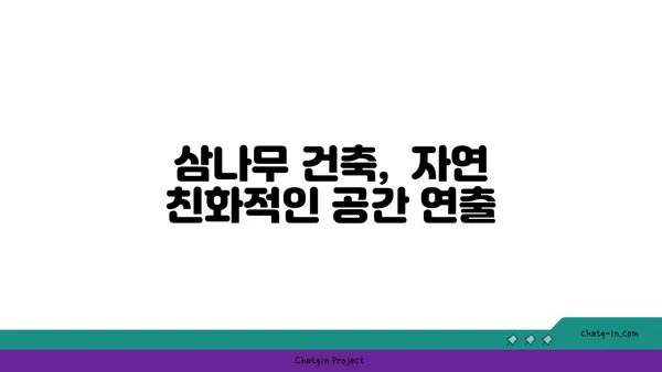 삼나무의 매력, 5가지 장점과 활용법 | 삼나무 효능, 나무, 특징, 종류, 가구, 건축, 향균