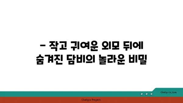 담비, 알고 보면 신비로운 동물! | 담비 특징, 서식지, 생태 정보