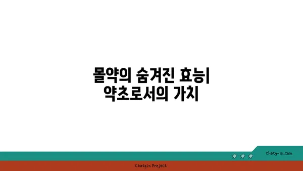 몰약의 모든 것| 기원, 효능, 사용법 | 향신료, 약초, 성경, 역사, 문화