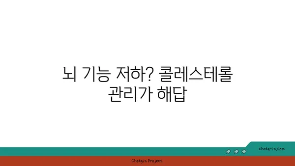 균형 잡힌 콜레스테롤| 건강한 뇌 기능을 위한 필수 요소 | 뇌 건강, 콜레스테롤 관리, 인지 기능