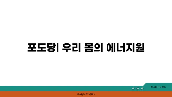 포도당의 모든 것|  생리 기능, 효능, 부작용, 섭취 가이드 | 당뇨, 건강, 영양, 식품