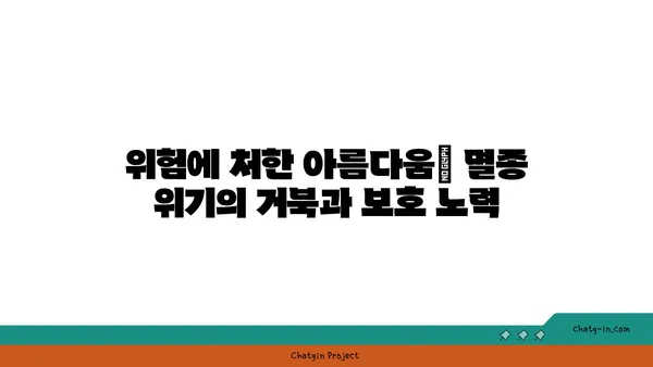 거북이의 신비로운 세계| 종류, 생태, 그리고 보호 | 거북, 파충류, 생물 다양성, 멸종 위기