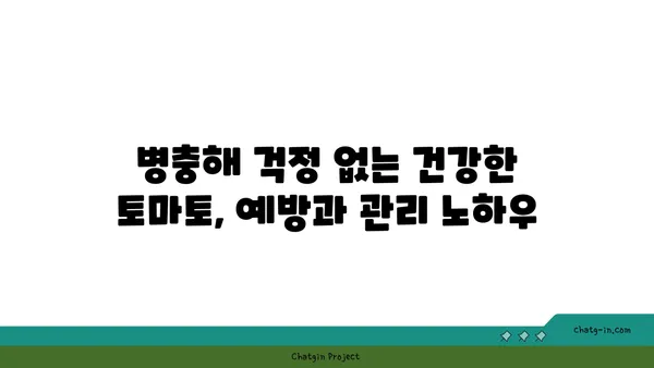 토마토 맛있게 키우는 비법| 텃밭부터 베란다까지 완벽 가이드 | 토마토 재배, 토마토 농사, 토마토 키우기, 토마토 관리