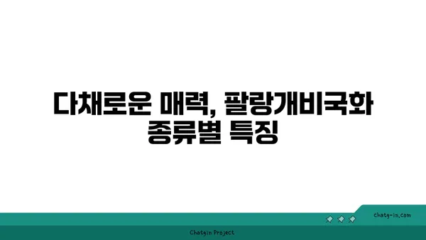 팔랑개비국화의 매력에 빠지다| 종류별 특징과 관리법 | 팔랑개비국화, 꽃말, 키우기, 종류