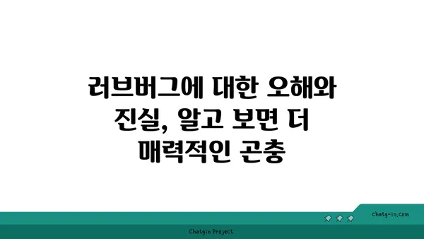 러브버그, 알고 보면 더 매력적인 5가지 사실 | 곤충, 사랑, 번식, 자연, 호기심