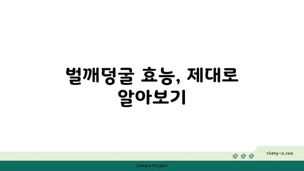 벌깨덩굴 효능과 활용법 | 약초, 민간요법, 벌깨덩굴 차, 벌깨덩굴 효능