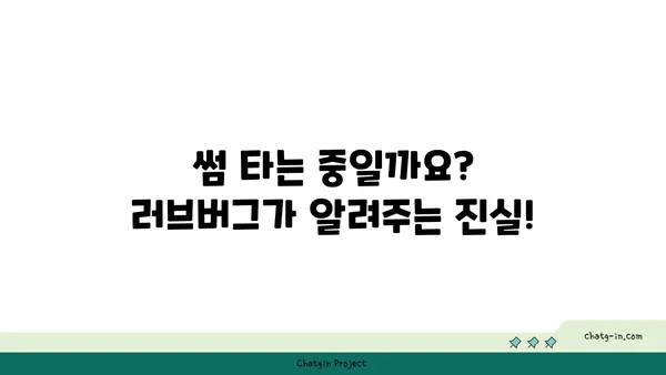 러브버그, 그들의 이야기|  사랑의 징후를 찾는 사람들과의 대화 | 러브버그, 사랑, 연애, 관계, 징후