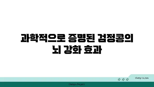 검정콩의 뇌 강화 효과| 과학적 근거로 밝혀진 인지 기능 향상 | 검정콩, 뇌 건강, 기억력, 집중력, 학습 능력