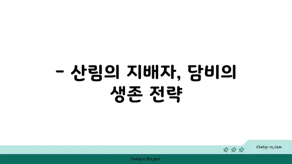 담비, 알고 보면 신비로운 동물! | 담비 특징, 서식지, 생태 정보