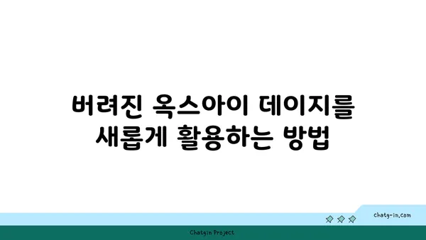 옥스아이 데이지의 지속 가능한 매력| 재활용과 친환경 활용법 | 옥스아이 데이지, 재활용, 지속 가능성, 친환경