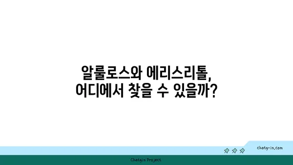 알룰로스 vs 에리스리톨| 저탄수화물 감미료, 당신에게 맞는 선택은? | 칼로리, 혈당, 부작용 비교