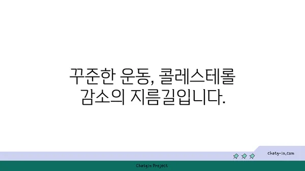 콜레스테롤 감소, 이 3가지 전략으로 건강 되찾기 | 콜레스테롤 관리, 건강 식단, 운동, 생활 습관