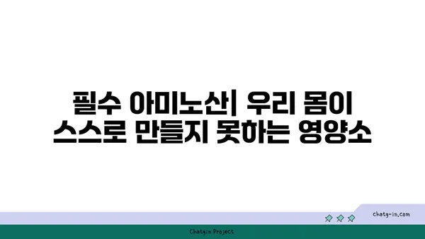 아미노산의 모든 것| 종류, 기능, 그리고 건강에 미치는 영향 | 단백질, 영양소, 건강 팁