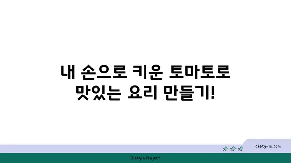 집에서 토마토를 재배하는 완벽 가이드| 신선하고 유기적인 수확을 위한 10가지 단계 | 토마토 재배, 유기농, 베란다텃밭, 텃밭 가꾸기