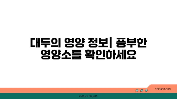 대두의 놀라운 효능과 영양 정보| 건강한 식단을 위한 완벽 가이드 | 대두, 콩, 단백질, 영양, 건강, 레시피