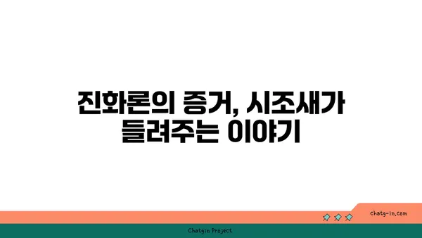 시조새의 비밀| 진화의 증거를 찾아 떠나는 여정 | 고생물학, 진화론, 공룡, 조류, 화석