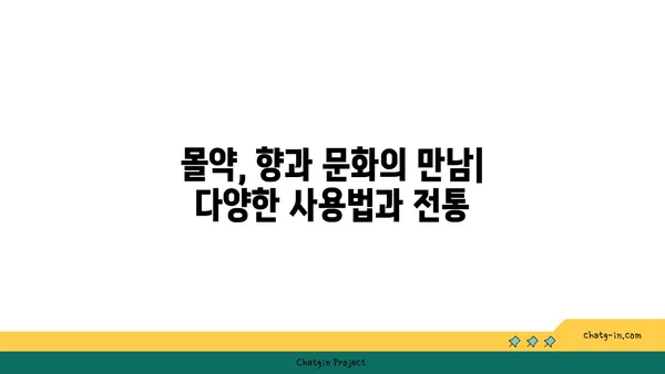 몰약의 모든 것| 기원, 효능, 사용법 | 향신료, 약초, 성경, 역사, 문화