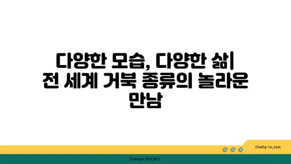 거북이의 신비로운 세계| 종류, 생태, 그리고 보호 | 거북, 파충류, 생물 다양성, 멸종 위기