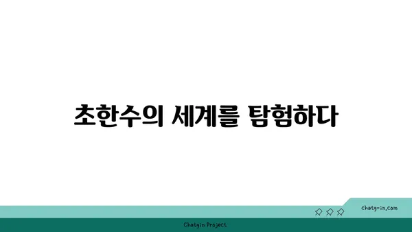 세상에서 가장 큰 수는 무엇일까요? | 무한, 초한수, 수 체계의 끝