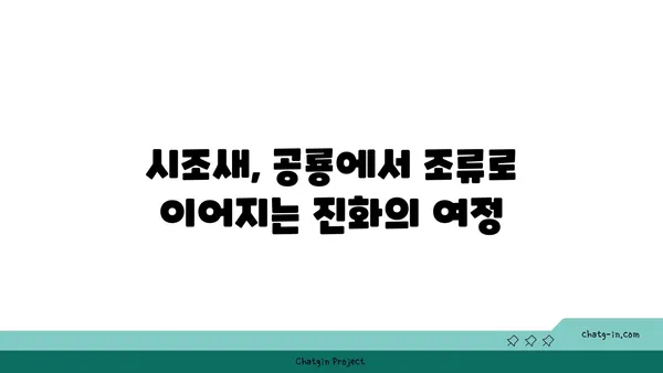 시조새의 비밀| 진화의 증거를 찾아 떠나는 여정 | 고생물학, 진화론, 공룡, 조류, 화석