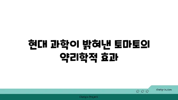 토마토의 약리학적 특성| 전통 의학부터 현대적 활용까지 | 건강, 영양, 항산화, 면역