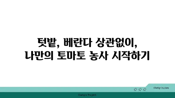 토마토 맛있게 키우는 비법| 텃밭부터 베란다까지 완벽 가이드 | 토마토 재배, 토마토 농사, 토마토 키우기, 토마토 관리