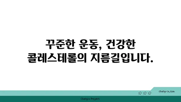 콜레스테롤 감소를 위한 3가지 골든 룰| 건강한 삶을 위한 지침 | 콜레스테롤, 건강, 식단, 운동, 생활 습관