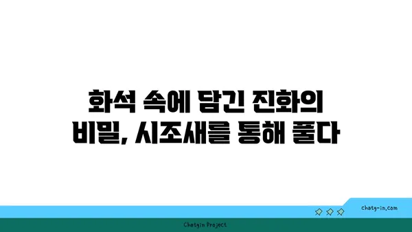 시조새의 비밀| 진화의 증거를 찾아 떠나는 여정 | 고생물학, 진화론, 공룡, 조류, 화석