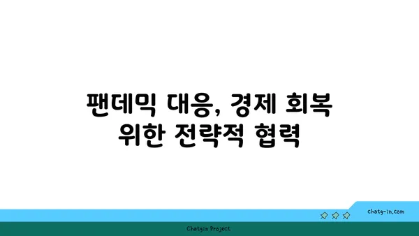 코로나19 팬데믹 극복을 위한 글로벌 협력| 과제와 전략 | 국제 협력, 공공 보건, 경제 회복, 백신 공급, 팬데믹 대응