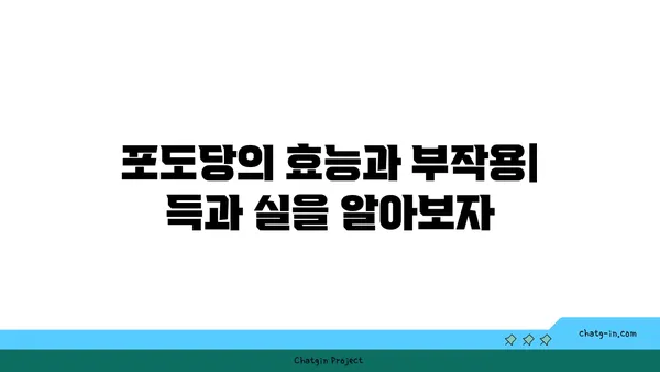 포도당의 모든 것|  생리 기능, 효능, 부작용, 섭취 가이드 | 당뇨, 건강, 영양, 식품