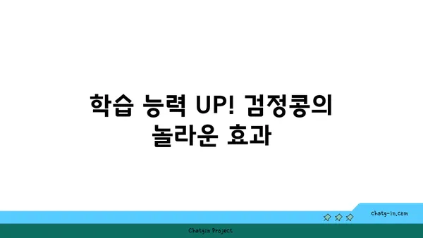 검정콩의 뇌 강화 효과| 과학적 근거로 밝혀진 인지 기능 향상 | 검정콩, 뇌 건강, 기억력, 집중력, 학습 능력