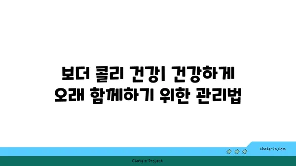 보더 콜리 완벽 가이드| 성격, 훈련, 건강, 그리고 당신에게 맞는지 알아보세요 | 견종, 강아지, 반려견, 훈련 팁