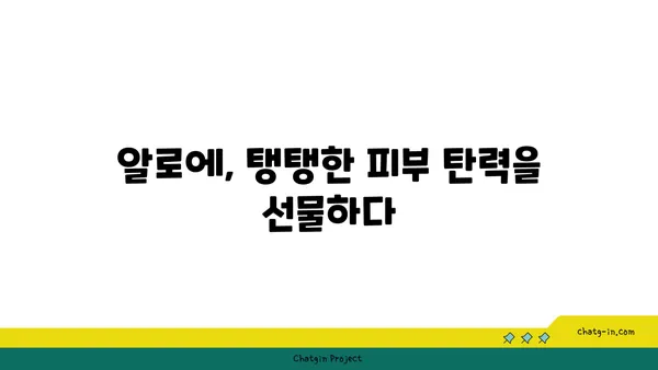 알로에, 피부에 미치는 놀라운 효능 7가지 | 알로에 효능, 피부 관리, 천연 화장품, 건강 팁