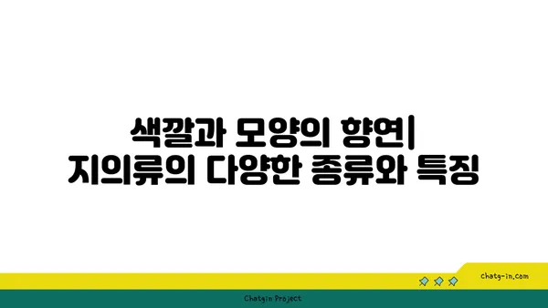 지의류의 신비로운 세계| 생존 전략, 종류, 그리고 환경과의 관계 | 지의류, 공생, 생물학, 환경