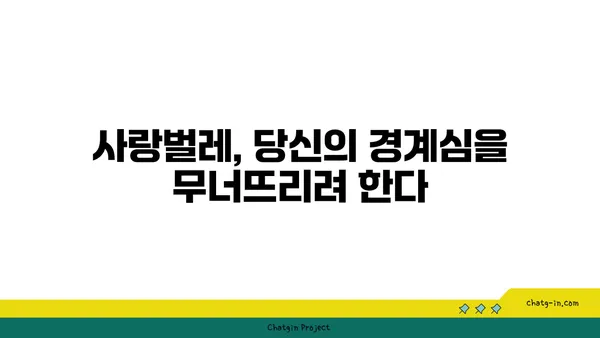 사랑벌레의 경고 신호| 알아야 할 5가지 | 사랑벌레, 애정 표현, 관계, 경계, 위험 신호