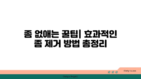 집안 좀을 박멸하는 완벽 가이드 | 좀 퇴치, 좀 잡는 법, 집안 좀 제거, 좀 예방