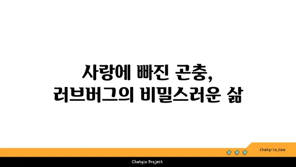 러브버그, 알고 보면 더 매력적인 5가지 사실 | 곤충, 사랑, 번식, 자연, 호기심