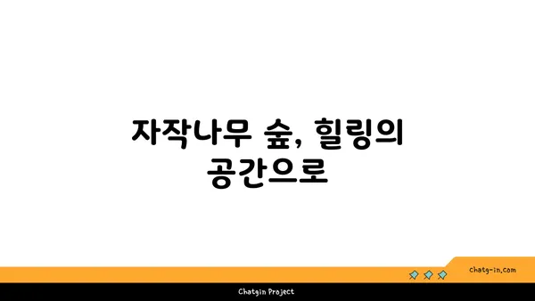 자작나무의 매력, 탐구하기 | 나무, 식물, 특징, 효능, 재배