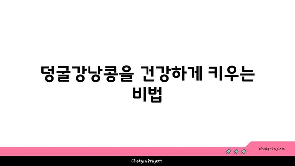 덩굴강낭콩 재배 가이드| 씨앗부터 수확까지 완벽하게 알아보기 | 덩굴강낭콩, 재배, 텃밭, 채소, 농사