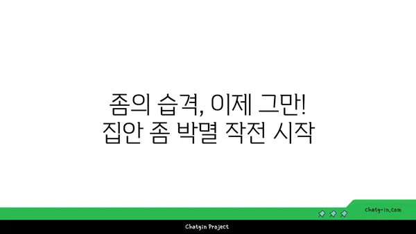 집안 좀을 박멸하는 완벽 가이드 | 좀 퇴치, 좀 잡는 법, 집안 좀 제거, 좀 예방