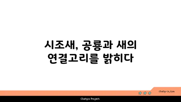 시조새의 비밀| 진화의 증거를 찾아 떠나는 여정 | 고생물학, 진화론, 공룡, 조류, 화석