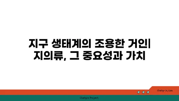 지의류의 신비로운 세계| 생존 전략, 종류, 그리고 환경과의 관계 | 지의류, 공생, 생물학, 환경