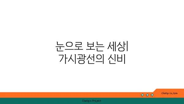 가시광선의 비밀| 우리 눈에 보이는 빛의 모든 것 | 빛의 스펙트럼, 가시광선의 특징, 색깔과 파장