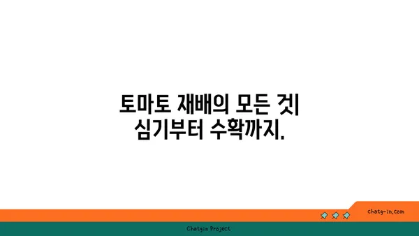 집에서 토마토를 재배하는 완벽 가이드| 신선하고 유기적인 수확을 위한 10가지 단계 | 토마토 재배, 유기농, 베란다텃밭, 텃밭 가꾸기