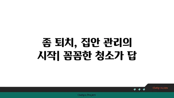 깨끗한 집의 비밀| 좀을 쫓아내는 7가지 기술 | 벌레퇴치, 청소팁, 집안관리