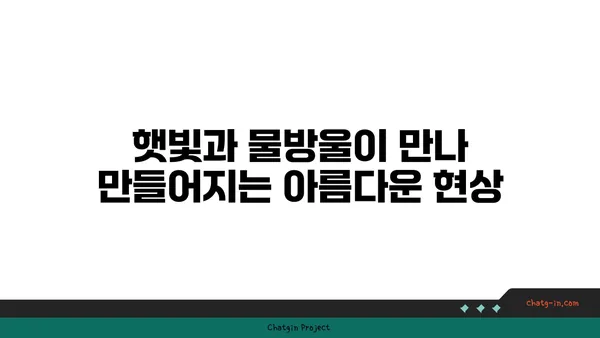 무지개는 어떻게 만들어지나요? | 햇빛, 물방울, 그리고 과학의 마법