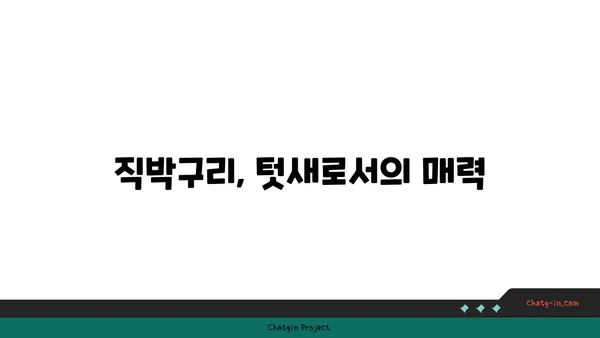 직박구리 관찰 가이드| 생태, 서식지, 그리고 특징 | 조류 관찰, 야생 동물, 한국 조류