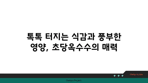 초당옥수수| 건강과 영양의 보물 창고 | 달콤한 맛과 풍부한 영양, 효능과 섭취 방법