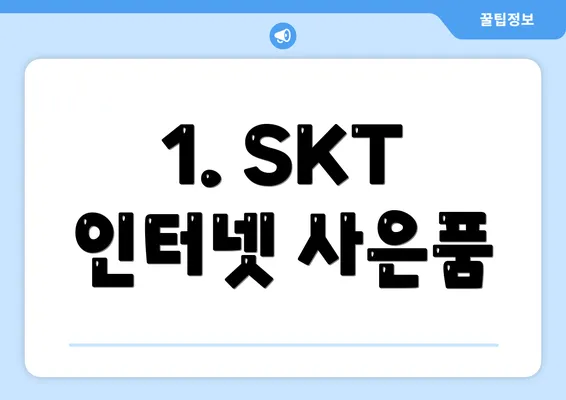 1. SKT 인터넷 사은품