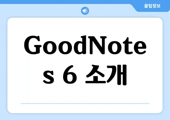 GoodNotes 6 소개